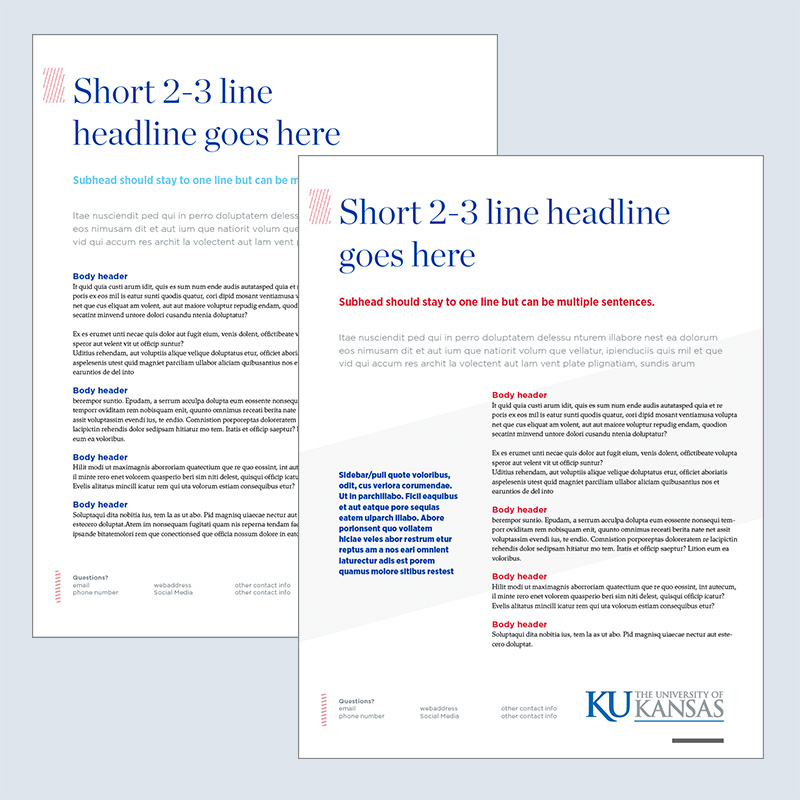 Screenshot of the informational flier design with no images, various colored subheadings, and placeholder text