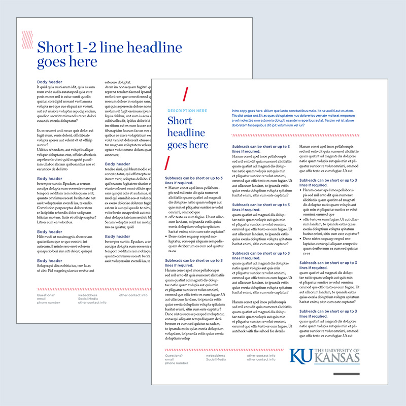 Screenshot of the second informational flier design with no images, and large amounts of placeholder text in a three-column layout